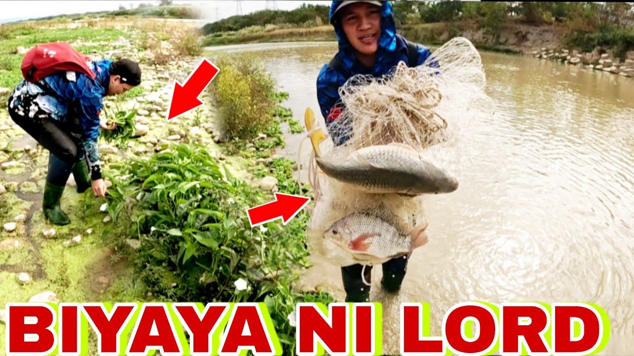 Catch and cook/ Hindi gumagalaw at MALAKING NILALANG PINALANGOY KO SA ILOG