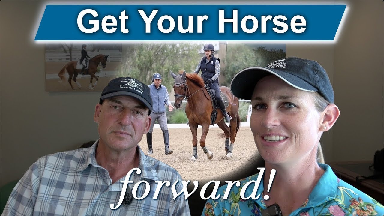 Your Horse won't go Forward?