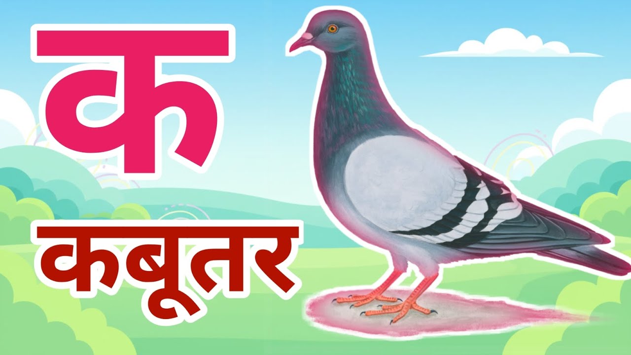 k se kabutar | ka se kabutar | क से कबूतर | कखगघ