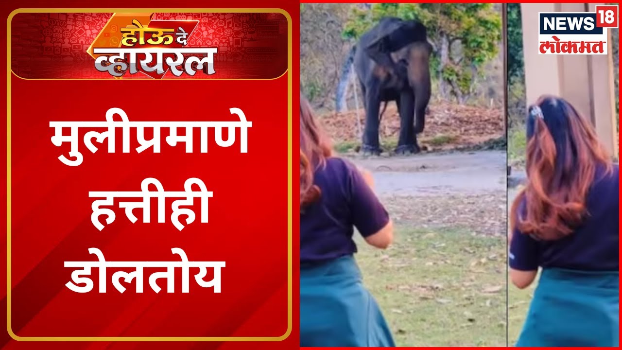 Houde Viral | मुलीप्रमाणे हत्तीही डोलतोय | Viral Video | News18 | Marathi News