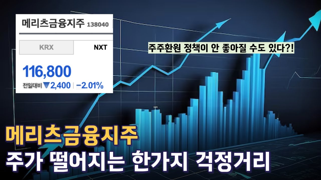 Meritz Financial Group, Everything is Good, But One Reason Why I'm Worried About the Future
