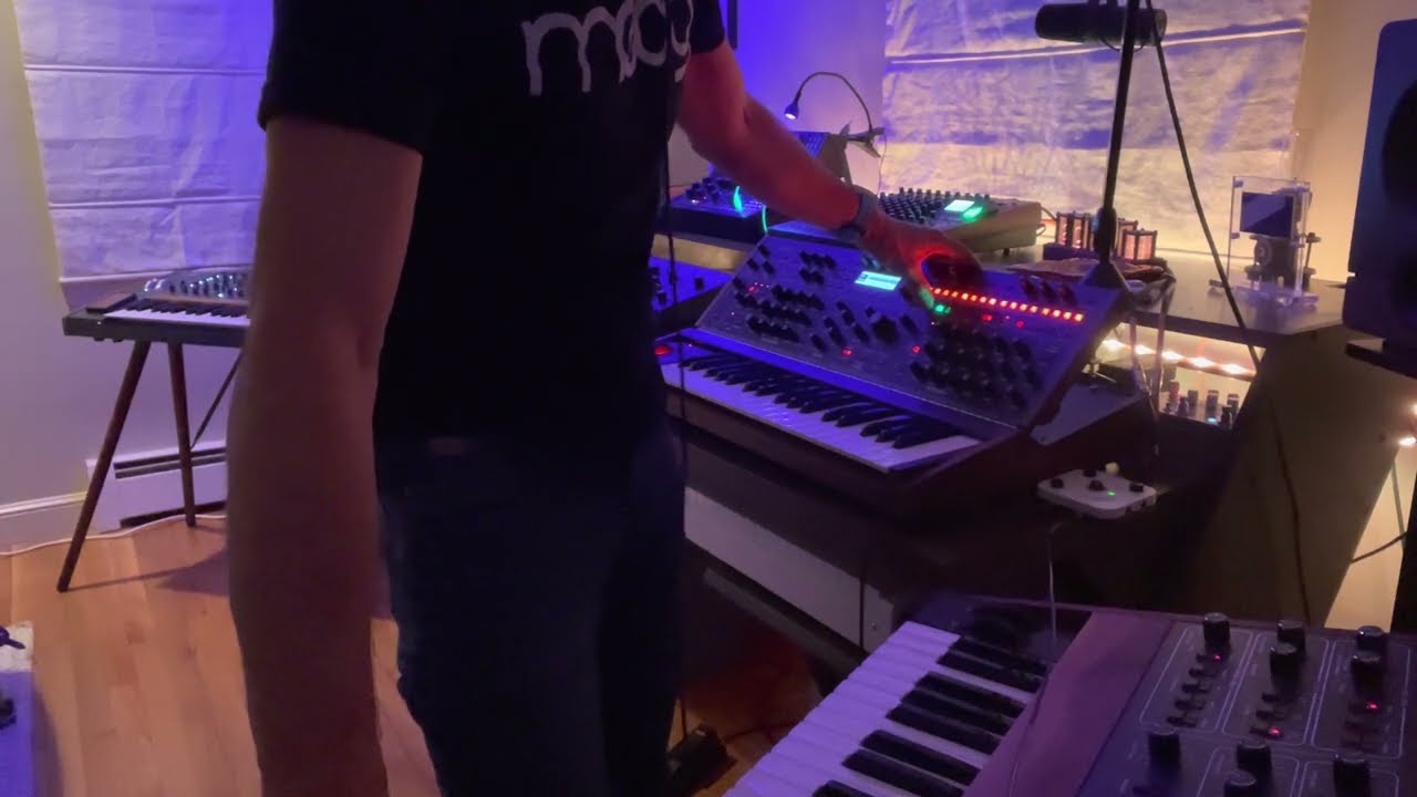 Which sounds best? Moog Grandmother, Arturia Polybrute, Sequential Pro 3 or Sequential Prophet 10?