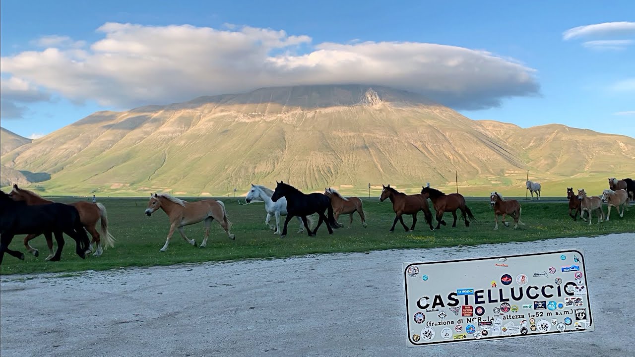 In giro per l'Umbria - Castelluccio, Norcia, Cascia
