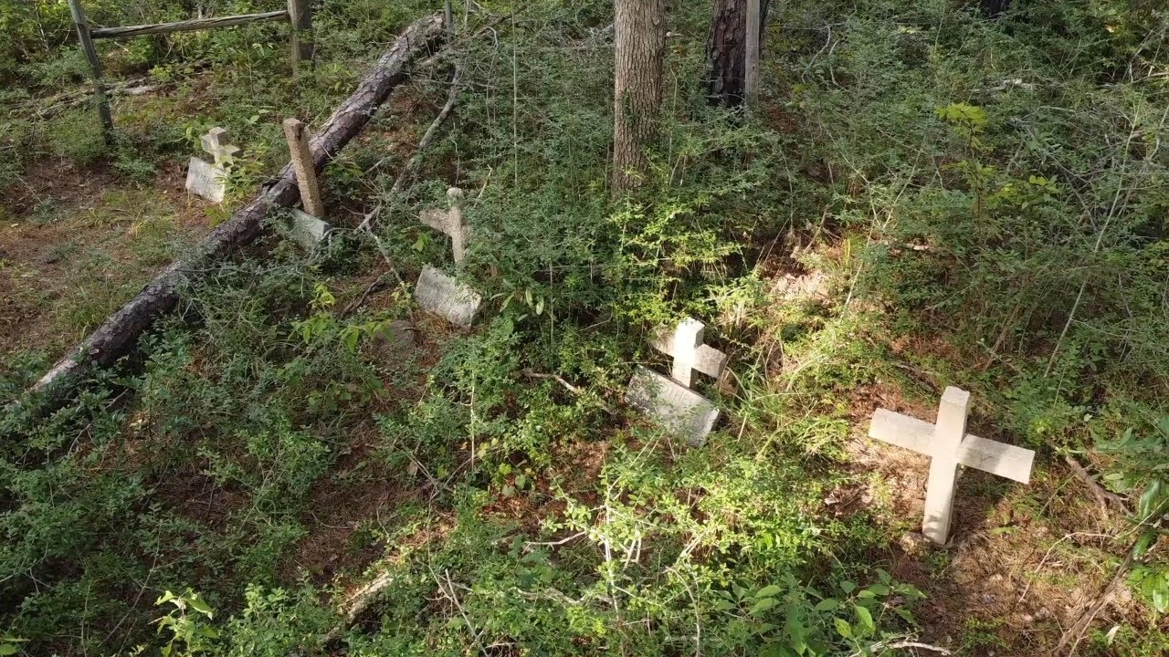 Abandoned Pioneer Family Cemetery in Sam Houston Forest