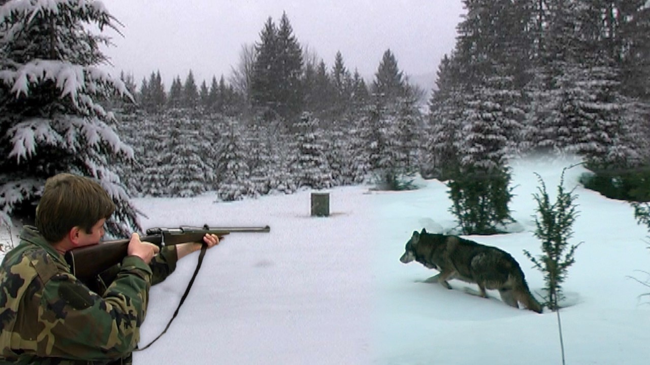 Lov vuka i medveda op&scaron;tina &Scaron;ipovo BiH | Wolf and bear hunting | Jagd auf den Wolf