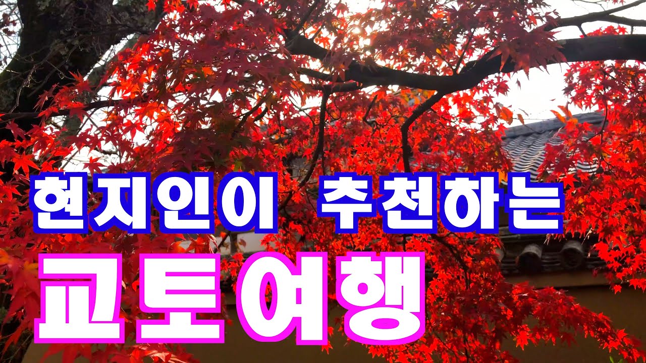 #01 혼자 다녀왔던 🍁 교토여행(아라시야마 단풍, 기온, 스키야키, 스시, 말차 파르페, 우동...) japan kyoto trip