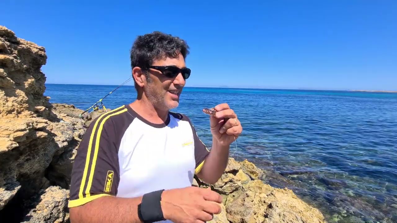 ma con la nebbia le orate ci vedono!? ci proviamo e testiamo la nuova canna da pesca e mulinello
