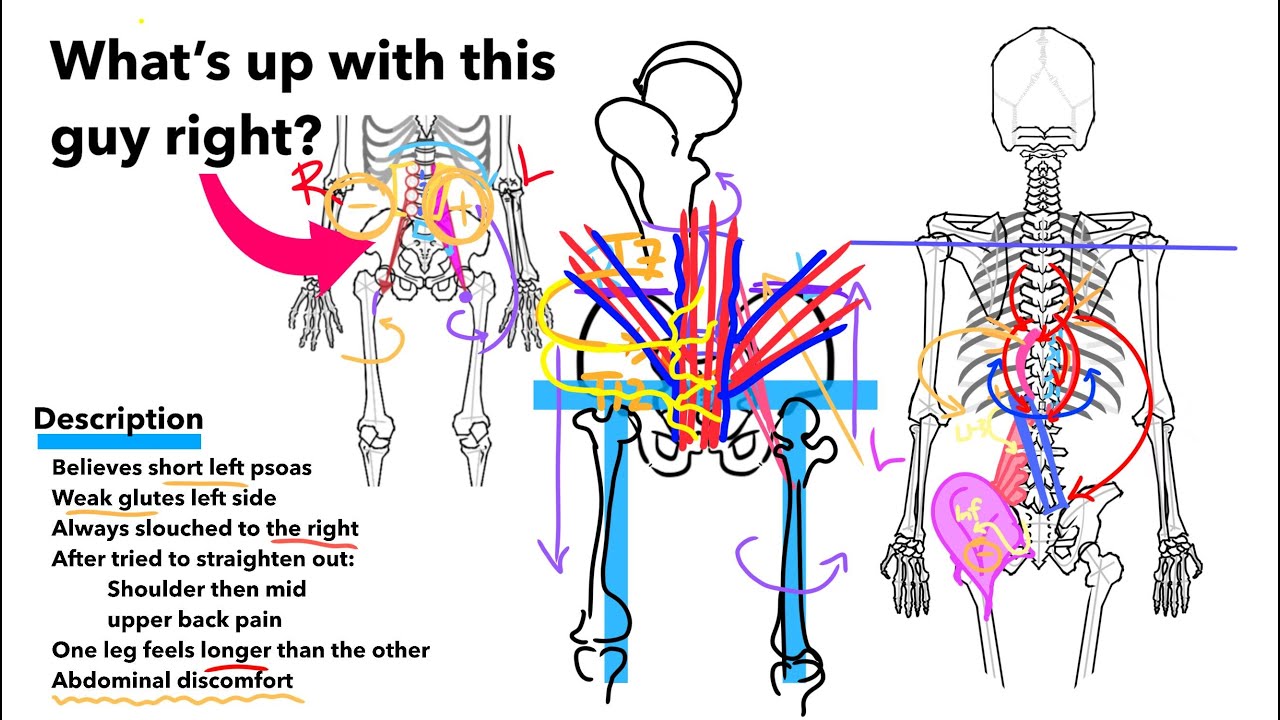 Psoas Relations: Some Kinda Specific Ones