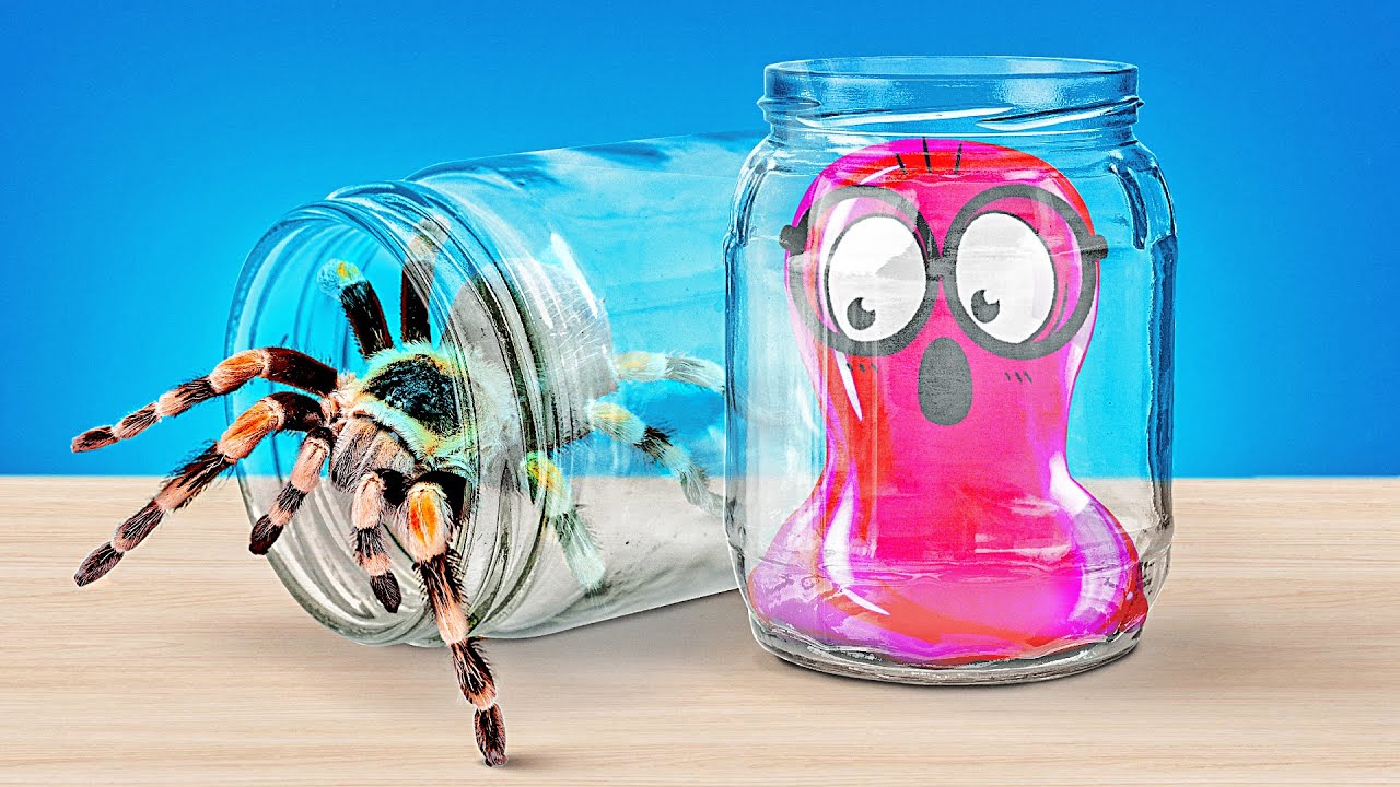 🔴 LIVE: How To Make Cool Houses For Ants, Rats, Turtles, Spiders, Snails, And Cats!