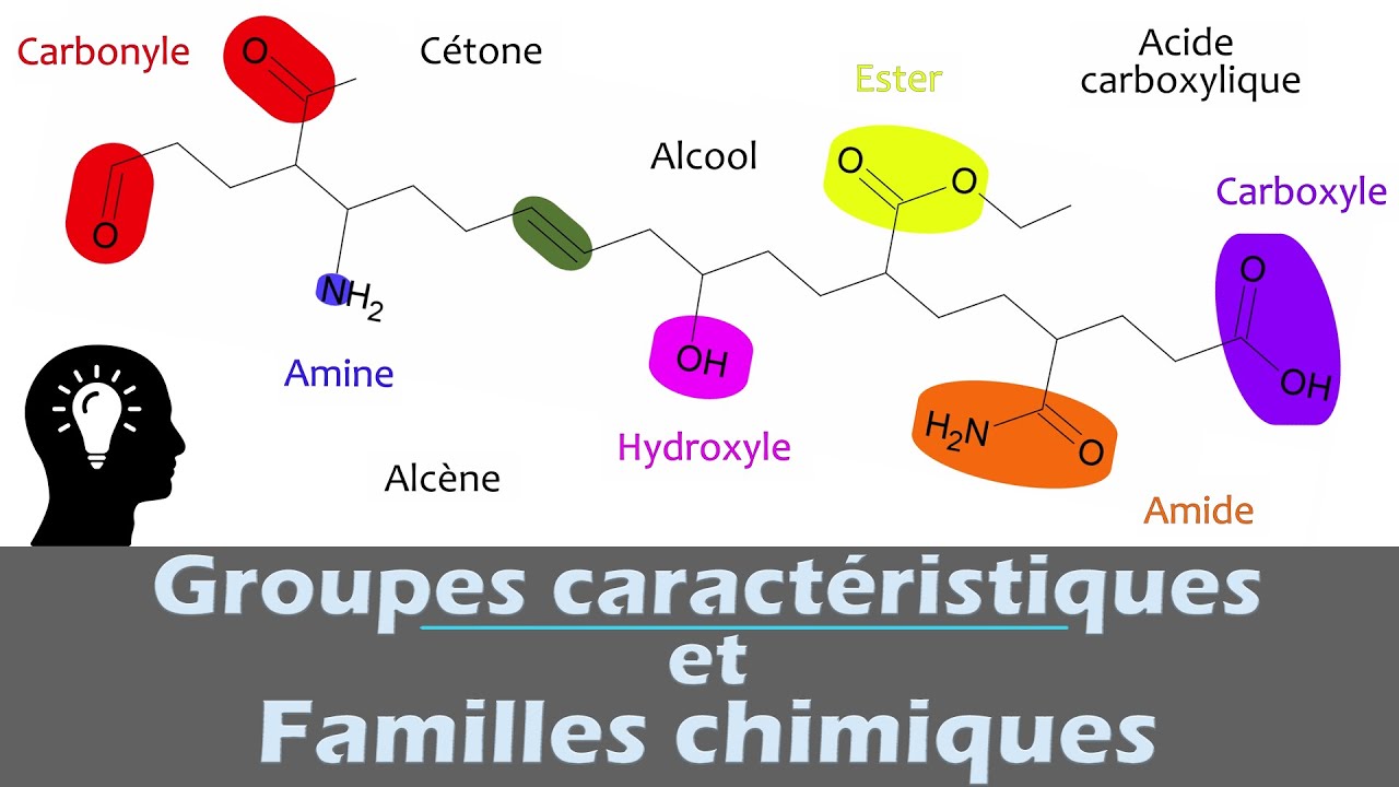 Groupes caract&eacute;ristiques et familles : nomenclature chimie organique