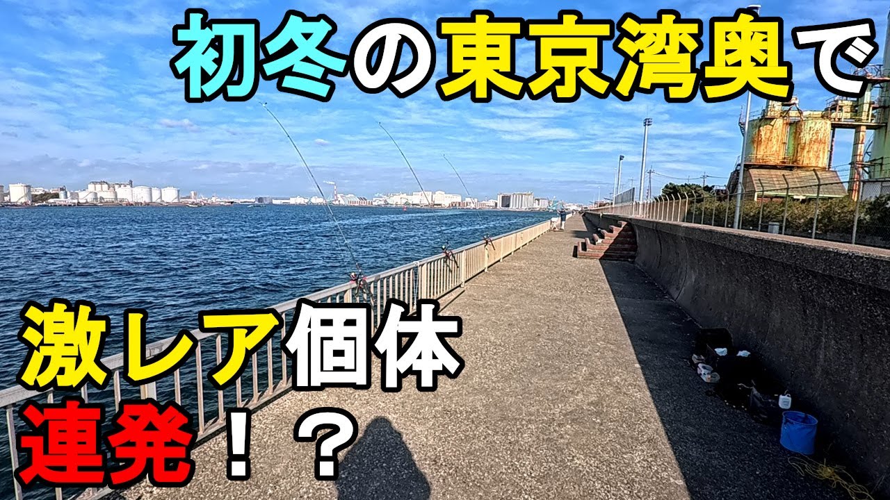 【千葉県某所】初冬の東京湾奥で激レア個体連発！？海釣りオフシーズン期間に、関東地方の東京湾に面している北部辺りにある釣り場で、とある冬の人気ターゲットを狙って釣りしてみたら…！【2025年12月下旬】