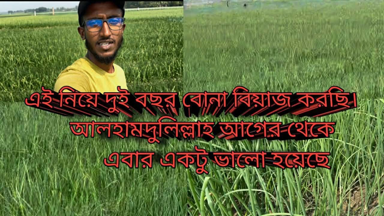 গত বছরের তুলনায় এবার একটু ভালো হইছে