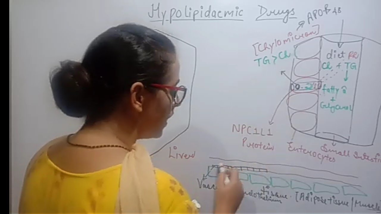 HYPERLIPIDAEMIA | MECHANISM OF LIPID TRANSPORT | PART-1 | LIPOPROTEINS