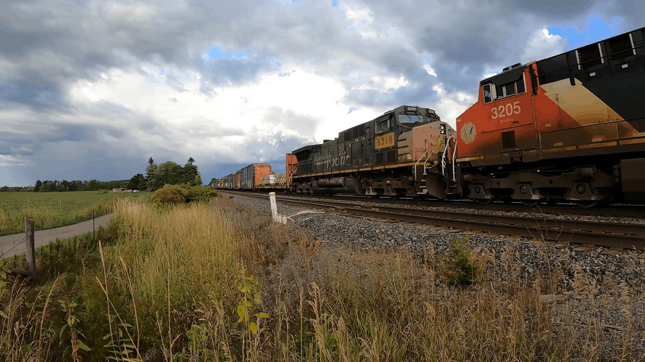 Southern Pacific paint! CN M369 and VIA 44 meet at Kidd road!