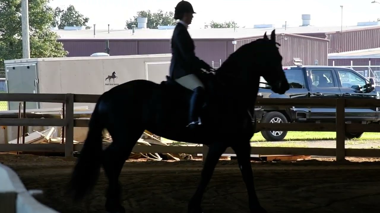 Jen in Class 137 - Open Hunter Pleasure Championship at Dayton Horse Show in Springfield OH