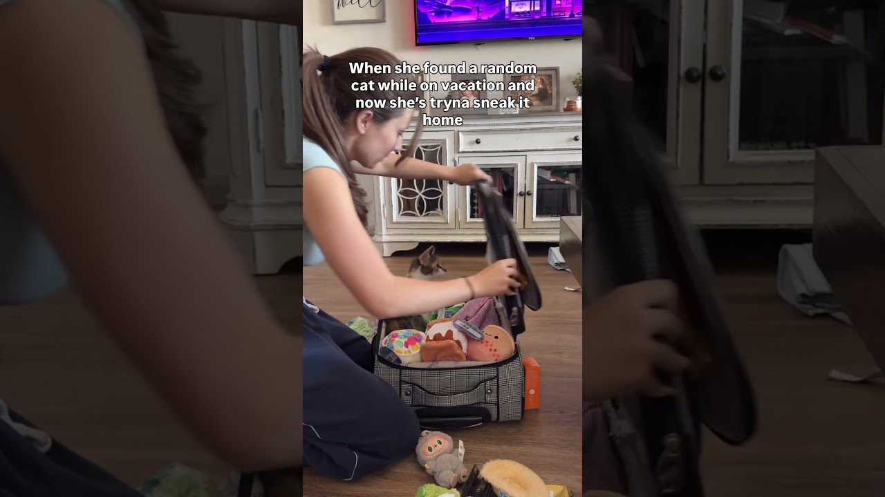 ANNA GET THE CAT OUTTA THE BAG