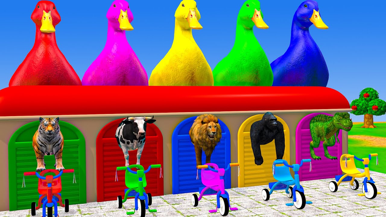 Long Slide Game With Cow Elephant Gorilla Hippopotamus Tiger 3d Animal Game Funny 3d Animals