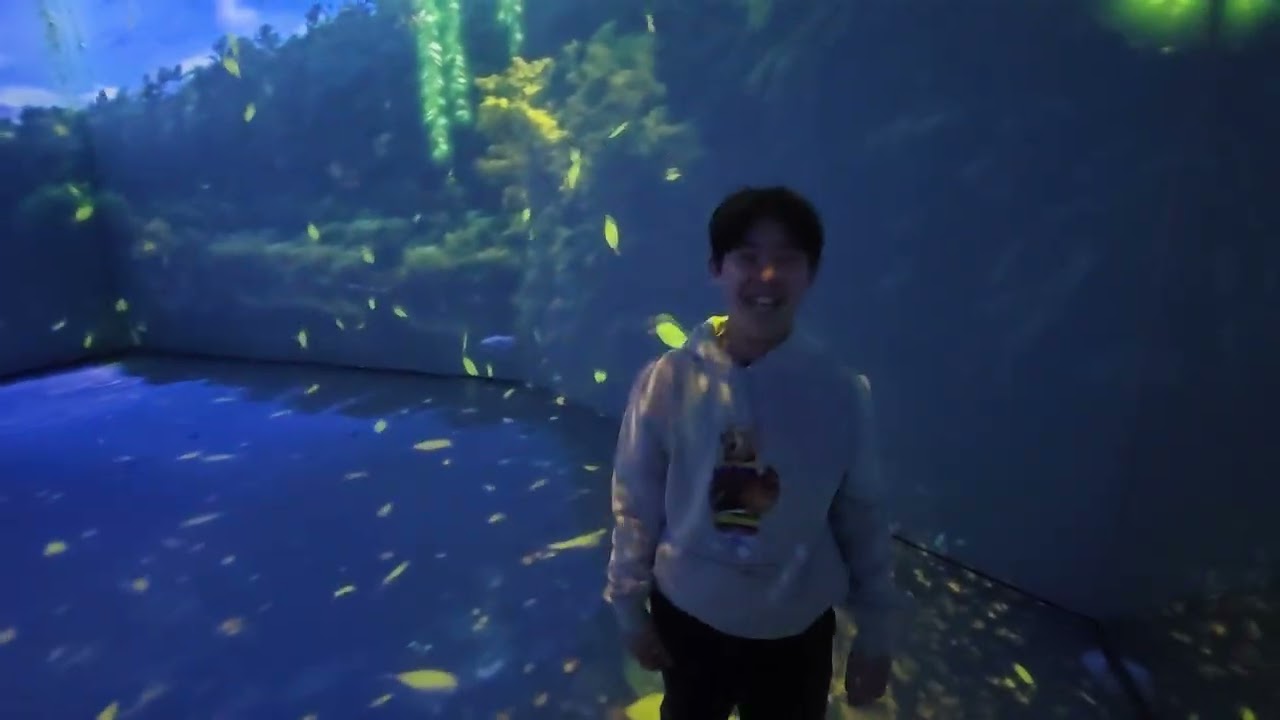 정읍 달하루 미디어아트