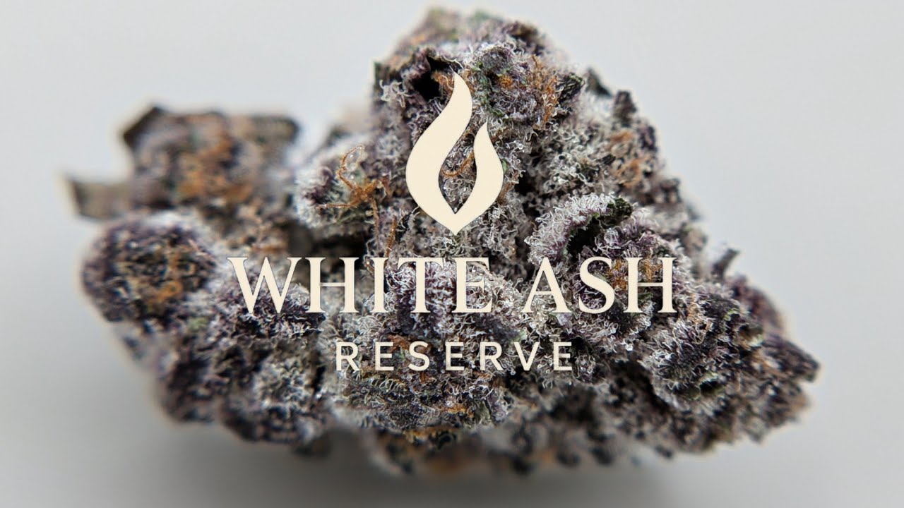 Thca Super Buff Cherry White Ash Reserve 