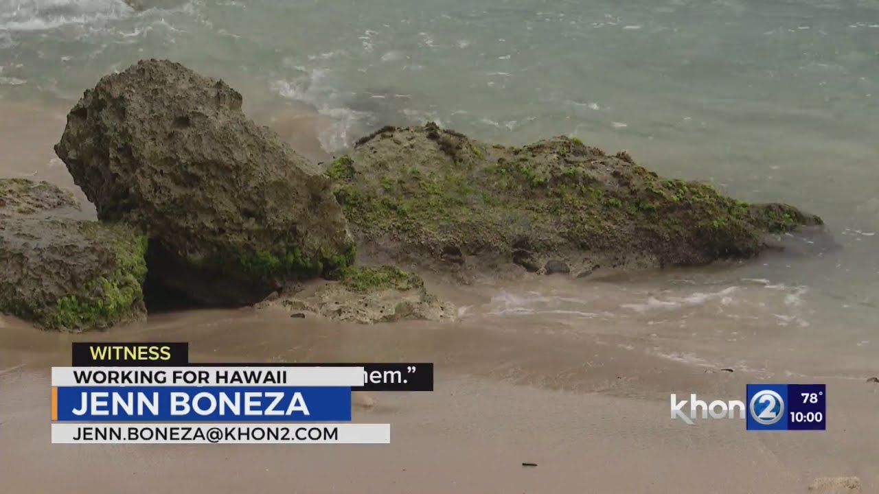 Man dies during Hawaiʻi honeymoon as bag, car stolen
