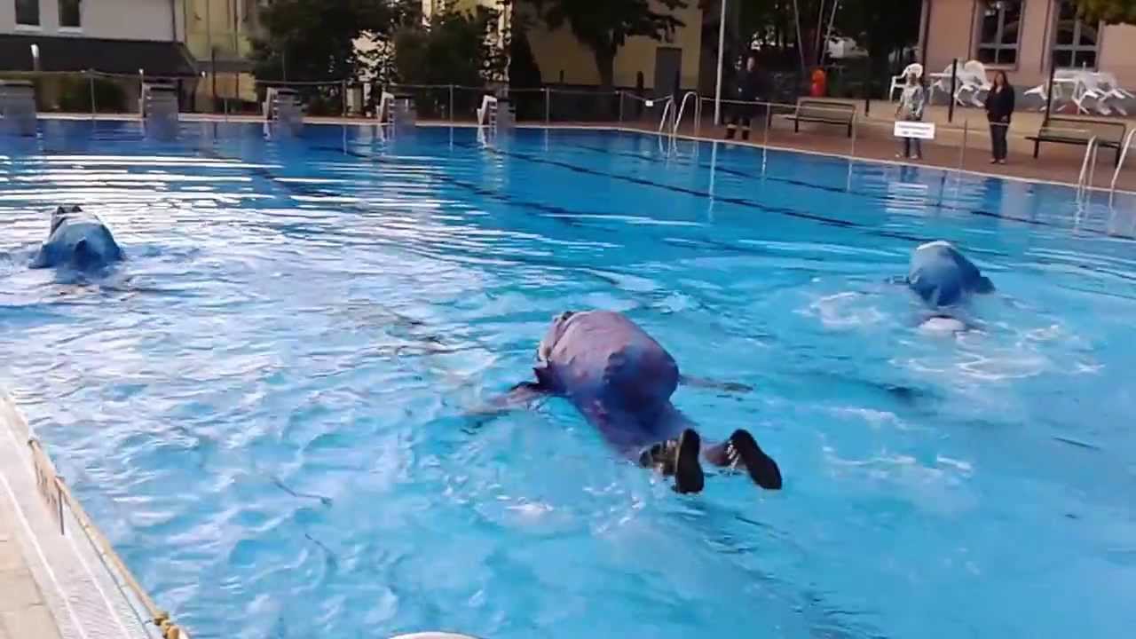 Schwimmende CSA Träger