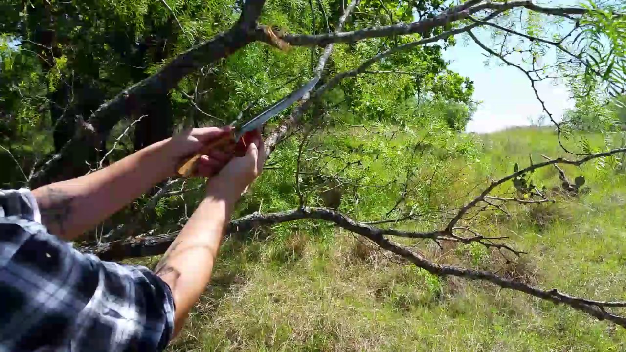 Muela Jabali Knife