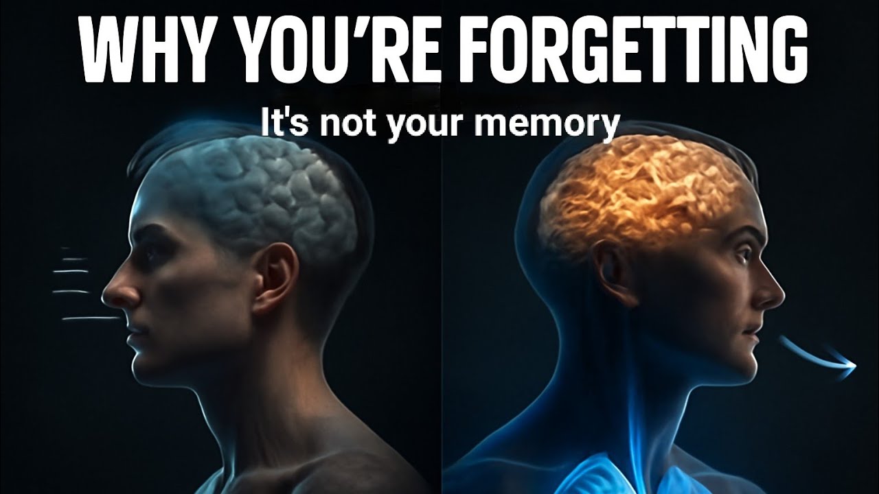 Why Shallow Breathing Makes You Forget