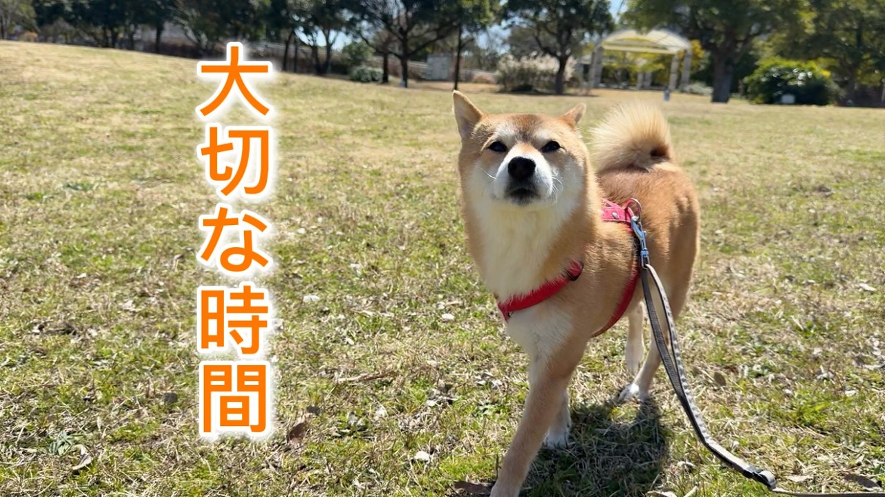 当たり前の時間が一番の幸せです