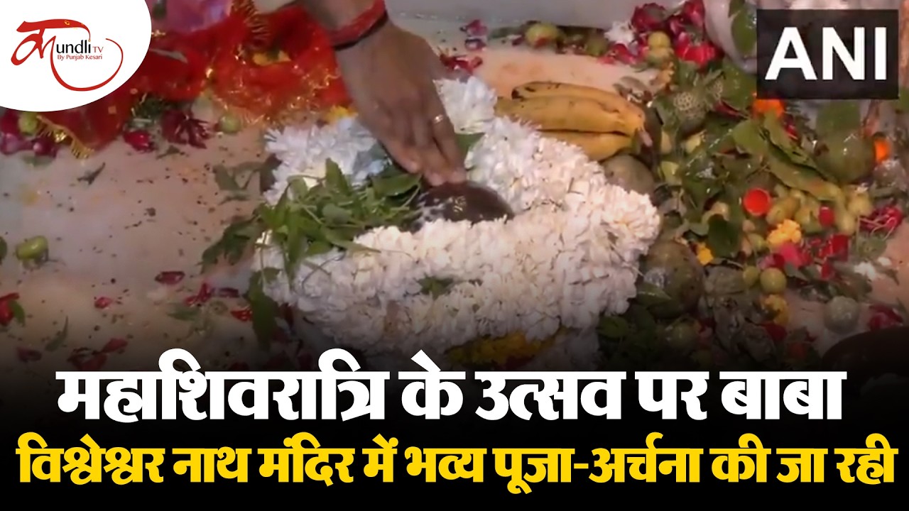 Mahashivratri के उत्सव पर  बाबा विश्वेश्वर नाथ मंदिर में भव्य पूजा-अर्चना की जा रही