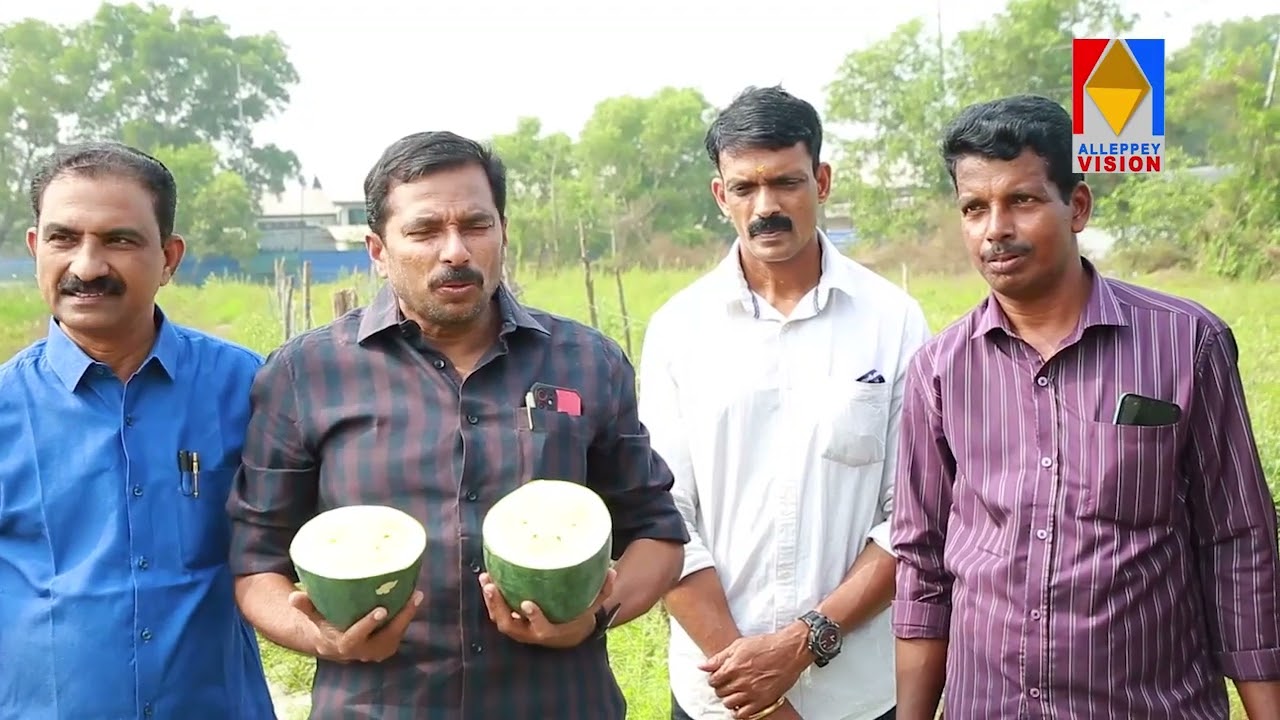 ശുഭ കേശന്റെ തണ്ണിമത്തൻ പാടത്തെ വിളവെടുപ്പു നടന്നു.
