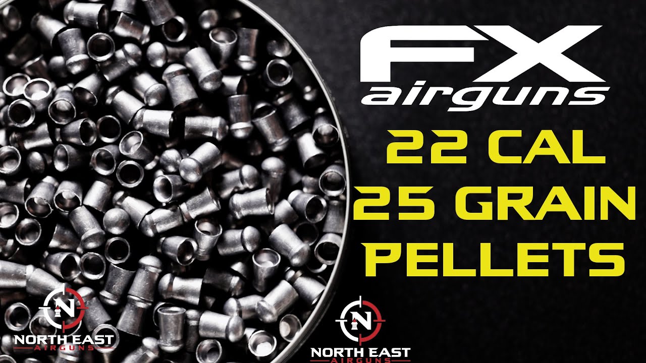 FX Airguns 22 cal 25 Grain Pellets