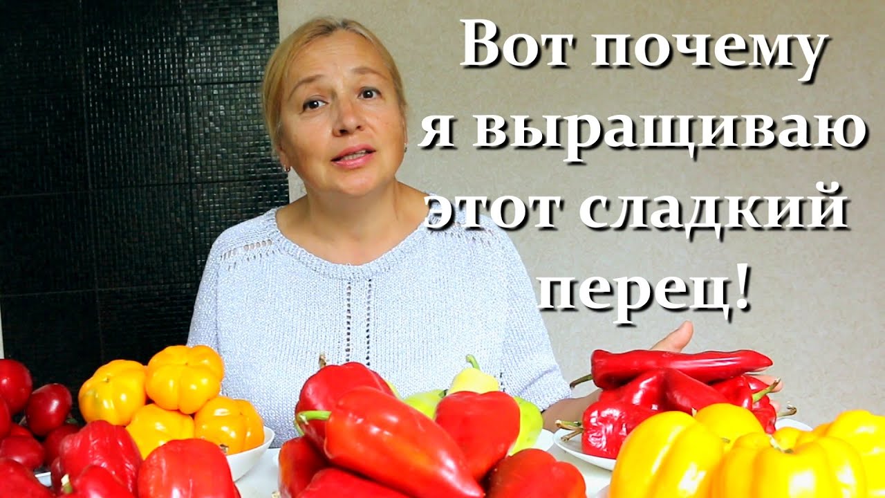 Собираю ведрами! Сладкий перец самые урожайные сорта и гибриды в этом сезоне