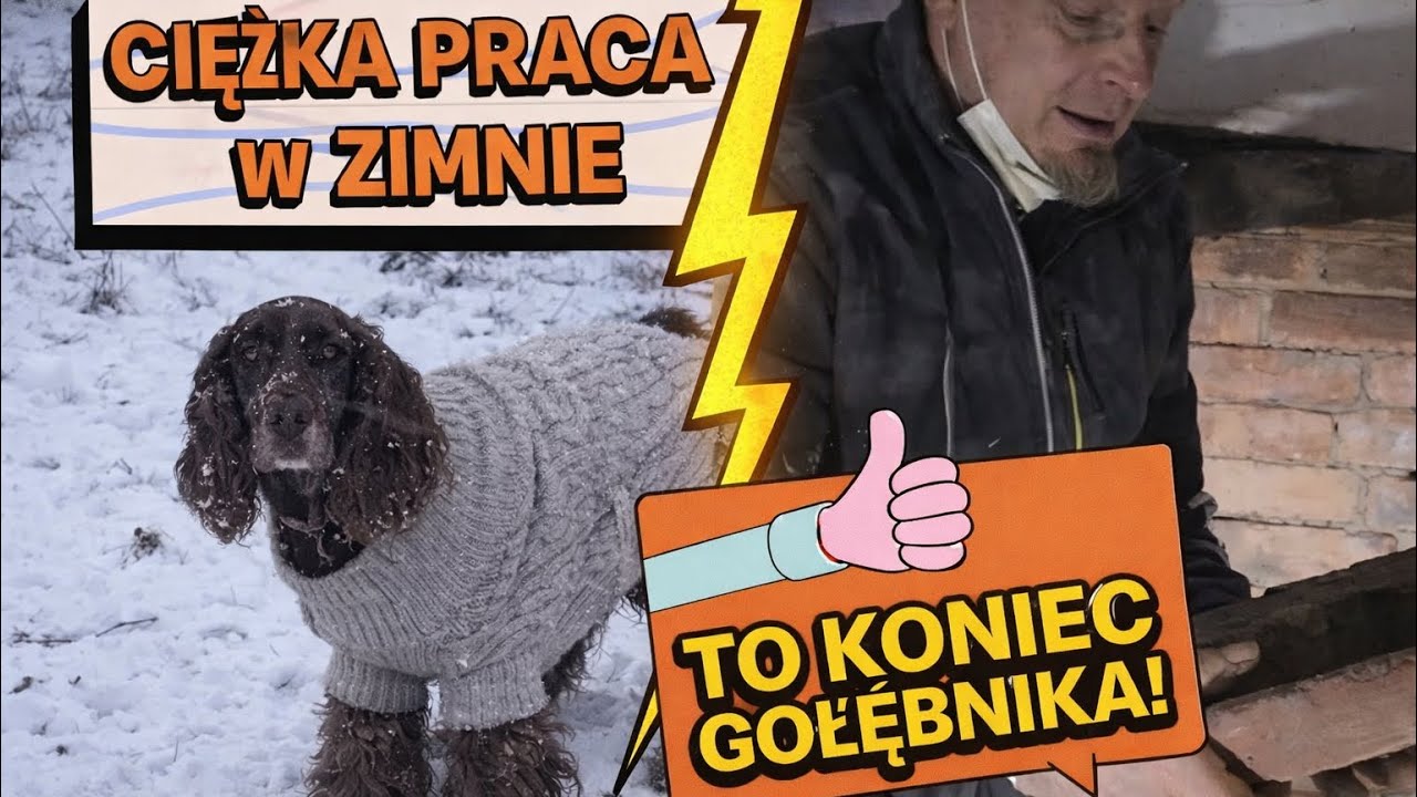 To koniec gołębnika! Ciężka praca w środku zimy ❄️🐶 #remont #domnawsi #siedlisko