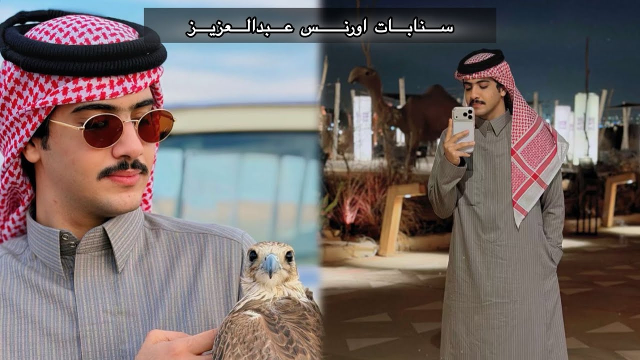 سنابات اورنس عبدالعزيز في بريدة || #اورنس_عبدالعزيز ١٢ فبراير 