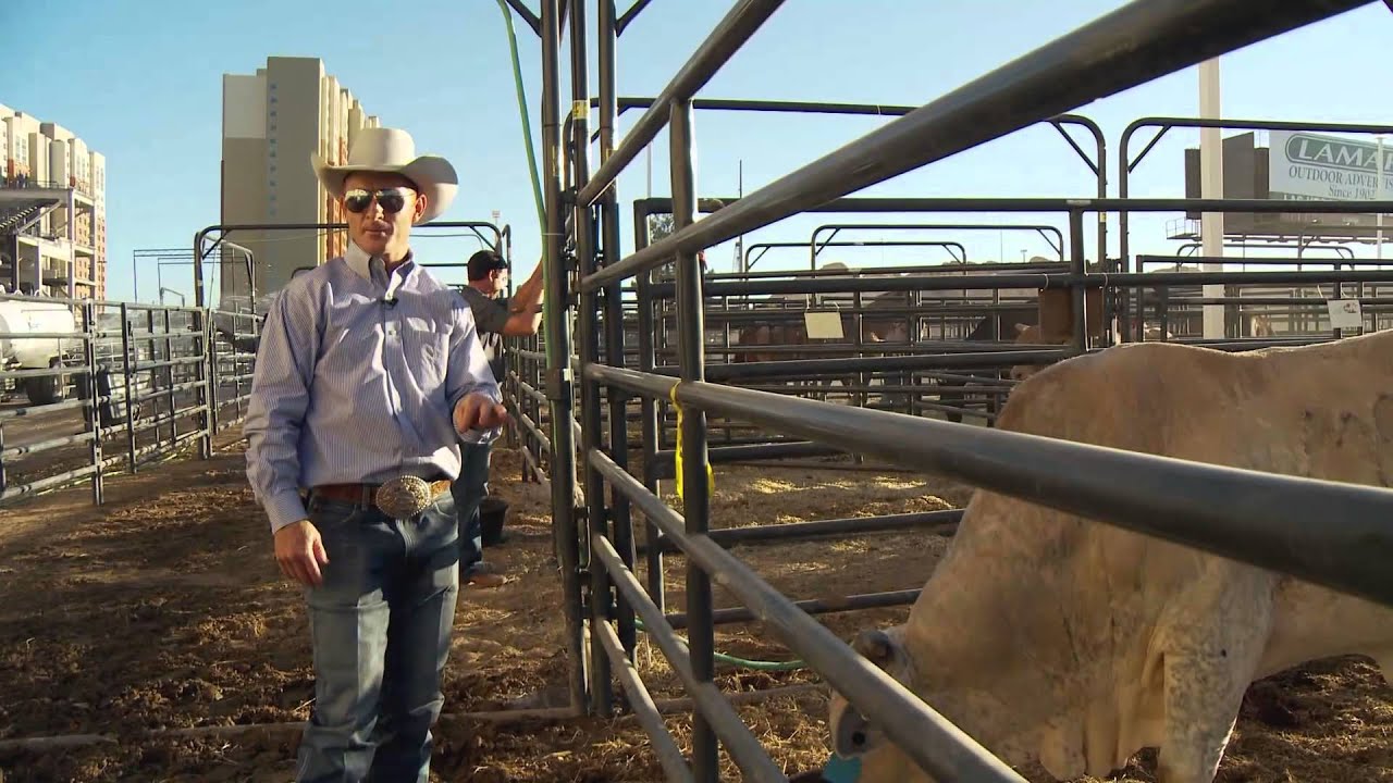 The Ride with Cord McCoy: Cord McCoy at the 2013 ABBI World Finals