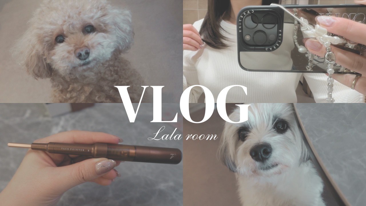 【VLOG】美容DAY🌷肌管理・美容院・購入品紹介💕フェイスポインター開封動画✨