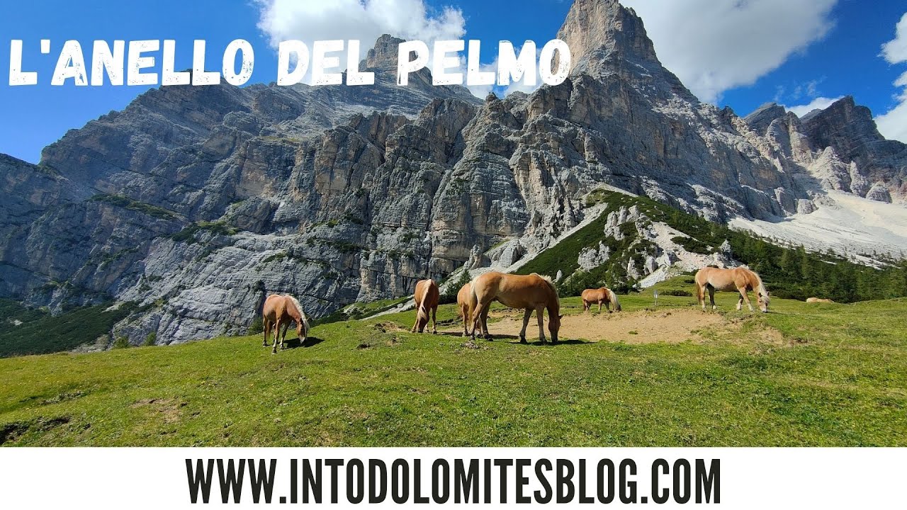 L'ANELLO DEL PELMO