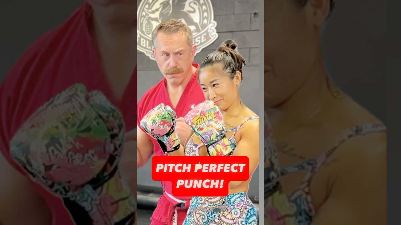 Выведи свои удары на новый уровень #masterken #mma #pitchperfect