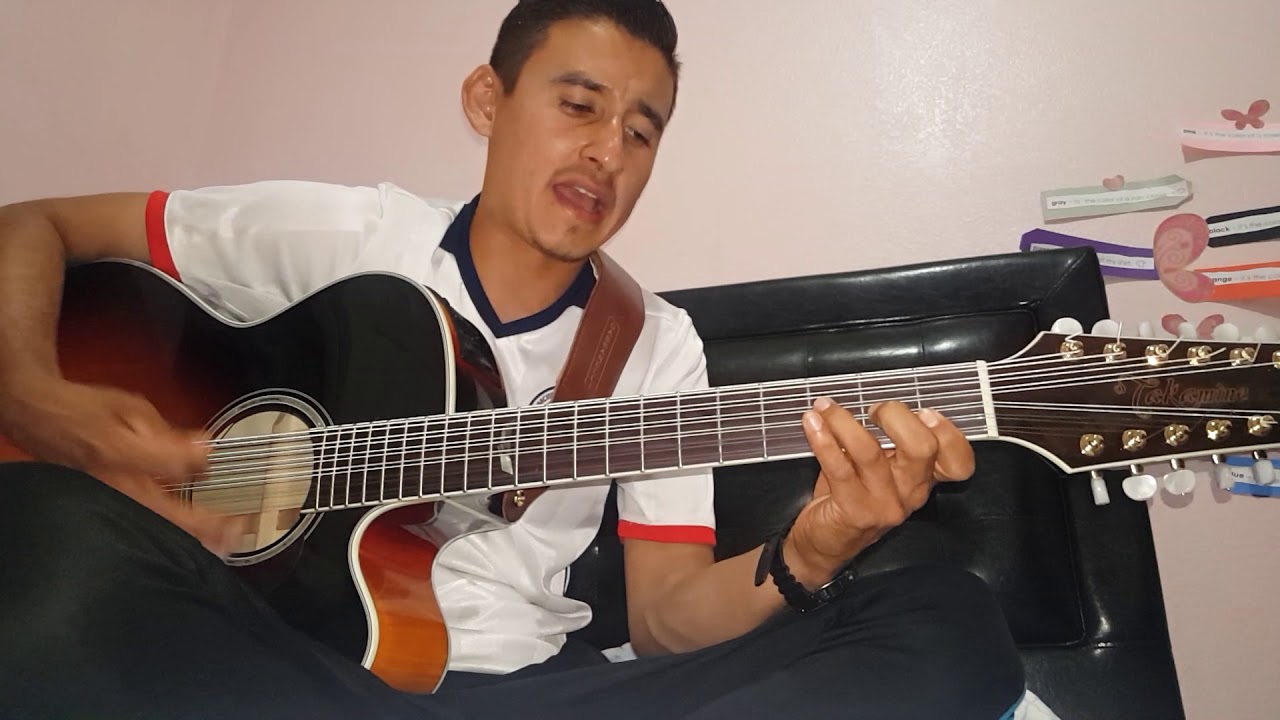El Centenario (cover) Los Tucanes De Tijuana -  Damian Requinto