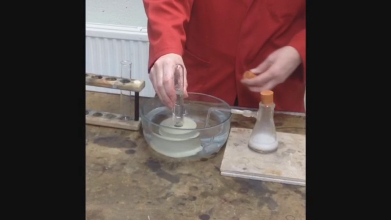 [YEAR 8] - Carbon Dioxide Test