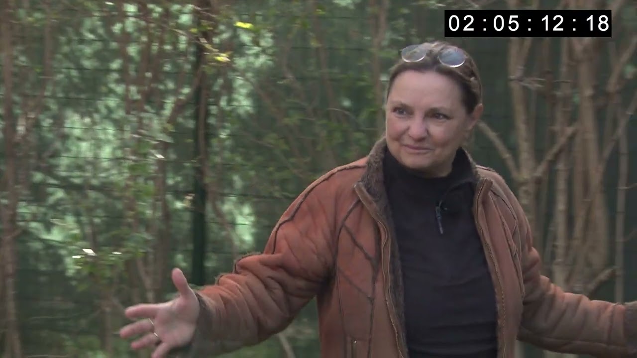STV - diel Čo je nové v našej prírodnej záhrade 2023