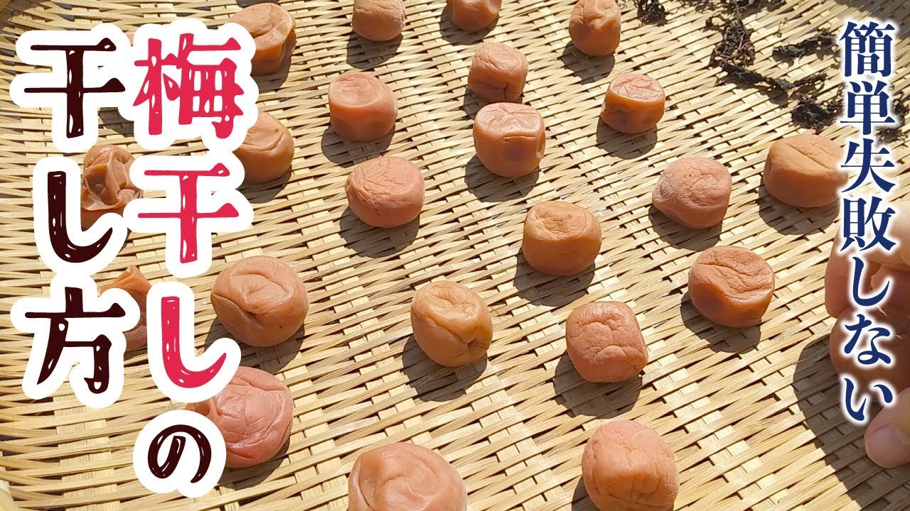 【簡単失敗しない】梅干しの干し方 | 土用干しでなくても美味しくできる How to make UmeBoshi