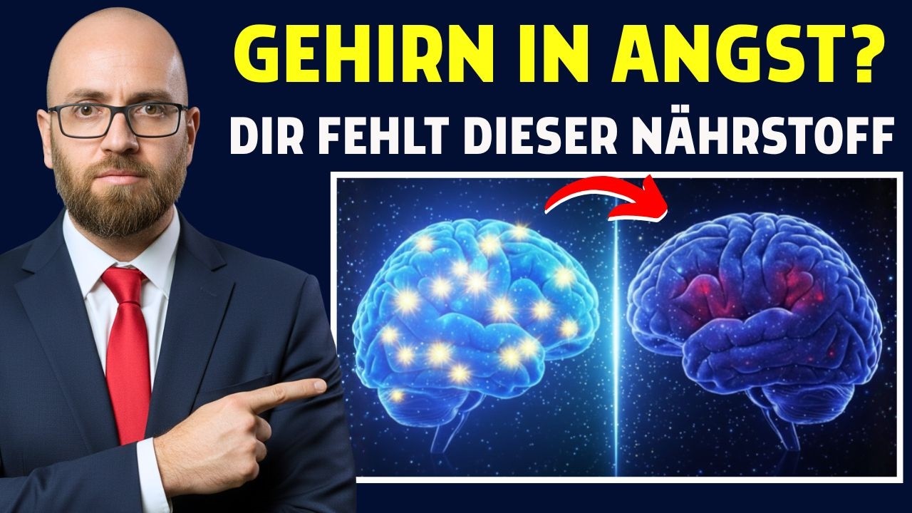 Nach 40: Mehr Unruhe und Vergesslichkeit – Fehlt Ihrem Gehirn Dieser Wichtige Nährstoff?