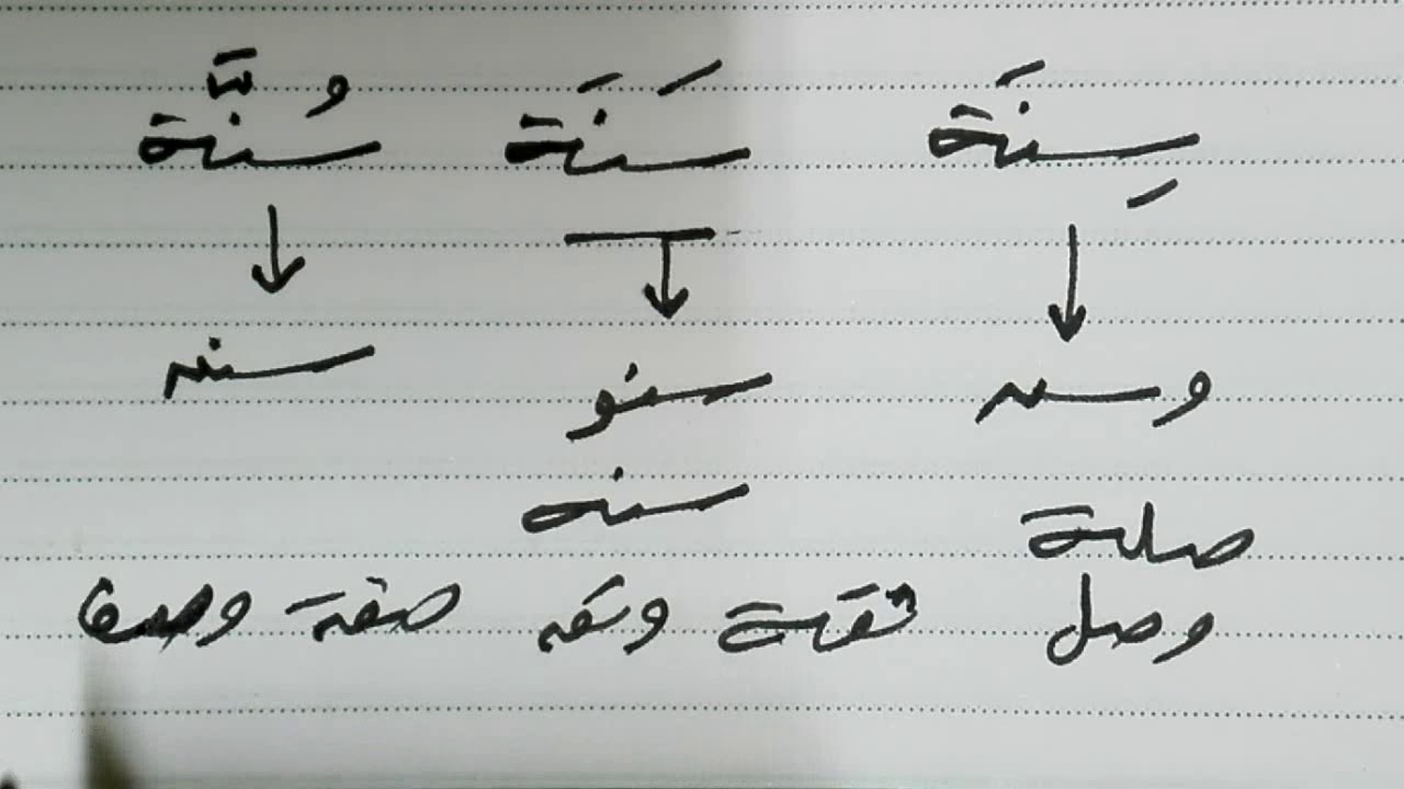الكشف في المعجم 2