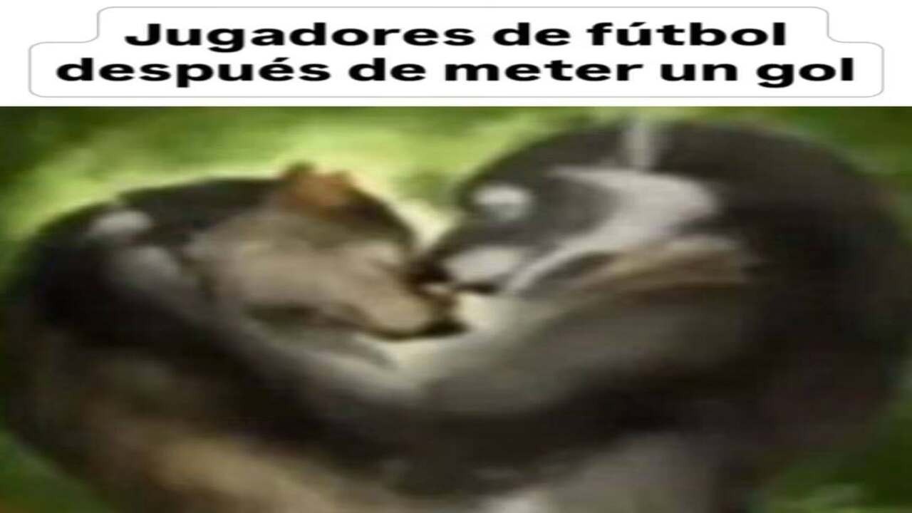 Shitpost Compilation V62