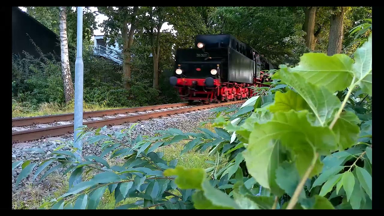 Treinen in Apeldoorn met 10 stoomlocomtieven aan elkeer 06 09 2025 0