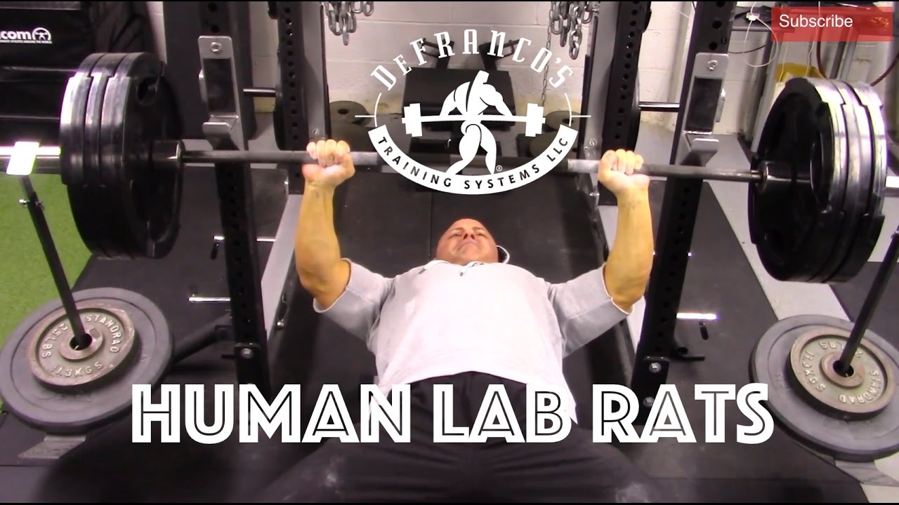 BREAKING IN THE GYM | HUMAN LAB RATS | VLOG #1
