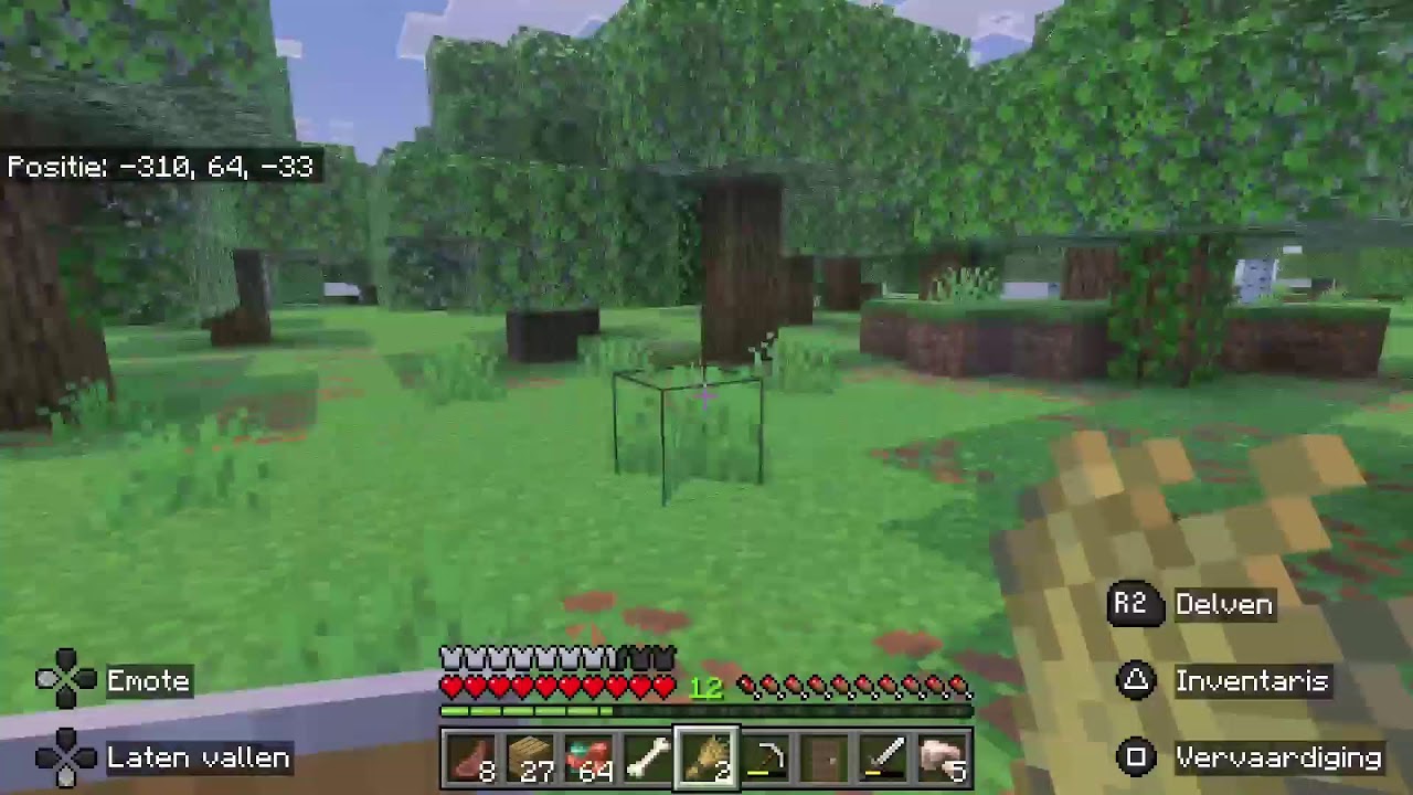 Minecraft ❤️