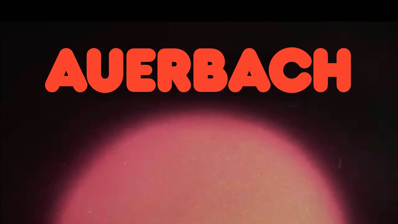 HECHT - Auerbach (Lyric Video)