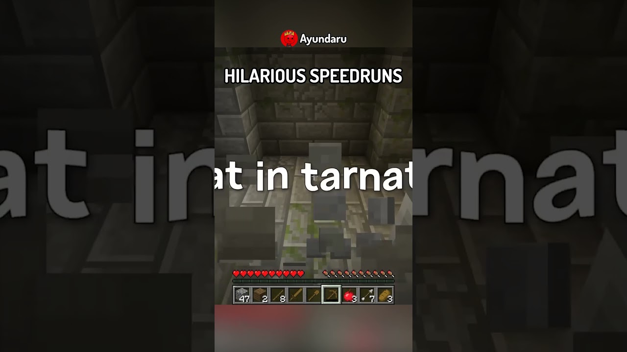 I Found The Funniest FAKE Minecraft Speedrun&hellip;